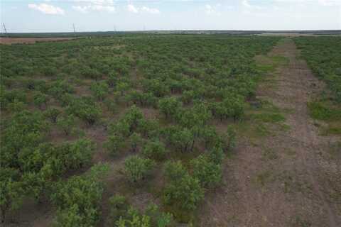 100+/- Ac Tbd Hwy 6, Lueders, TX 79533