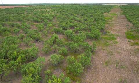 100+/- Ac Tbd Hwy 6, Lueders, TX 79533