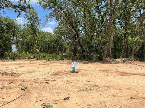 432 Peace Lily Way, Tolar, TX 76476