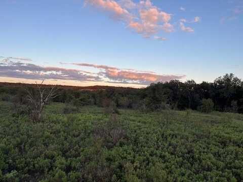 73 Ac Hwy 16, Loving, TX 76460