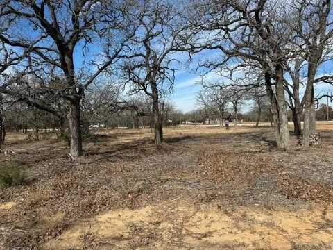 Tbd CR 2030 Lot 9, Glen Rose, TX 76043