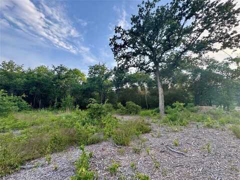 1051 Rose Ct, Nemo, TX 76043