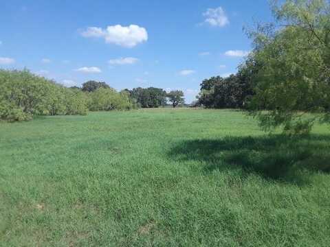 Tbd PR 114, Covington, TX 76636
