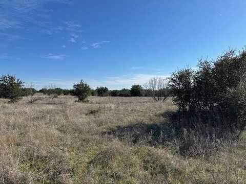 1036 Lake Shore Loop, Graford, TX 76449