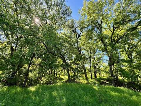 Tbd Fm 590, Comanche, TX 76442