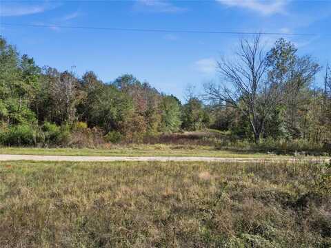 24175 Fm-838, Overton, TX 75684