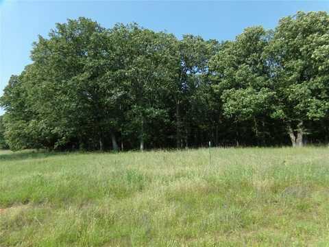 Tbd Lot 13 PR LAKESIDE ESTATE, Bagwell, TX 75412