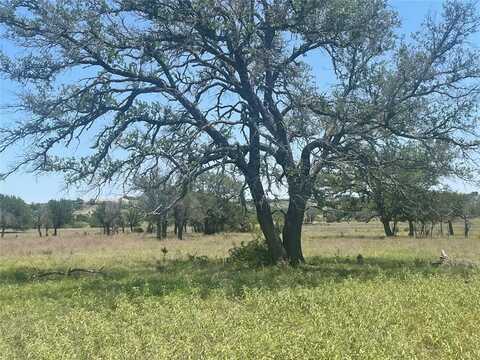 Tbd Road 338, Goldthwaite, TX 76844