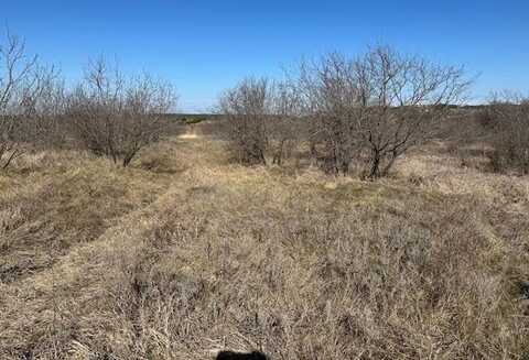 1050 Spotted Owl Court, Graford, TX 76449