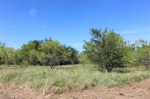 Tbd Lot 3 County Road 146, Kaufman, TX 75142