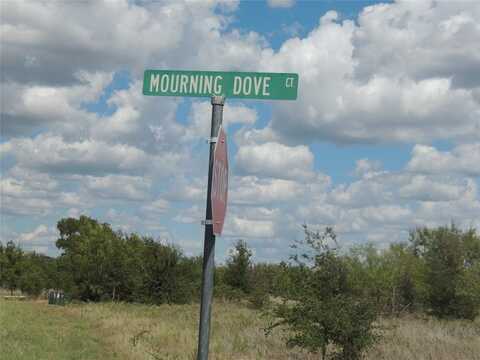 Lot 50 Mourning Dove Court, Graford, TX 76449