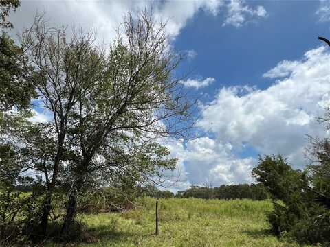 3623 County Road 3800 Ridge, Athens, TX 75752