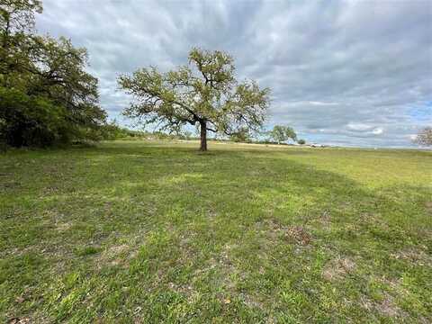 1037 Gonzollas Road, Springtown, TX 76082