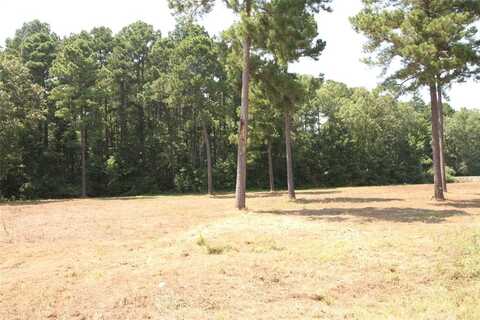 Lot 6 Peaceful Pines, Vivian, LA 71082