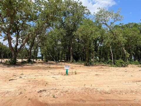 476 Peace Lily Way, Tolar, TX 76476