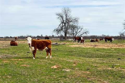 Tbd County Road 105 North, Vernon, TX 76384