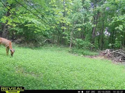 548 Boyer Rd., Wheelersburg, OH 45694