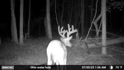 548 Boyer Rd., Wheelersburg, OH 45694