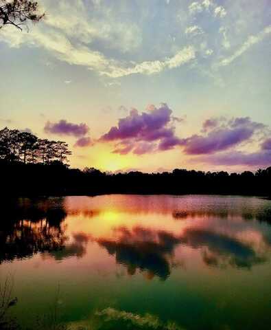 1005 Holden Rd, Poplarville, MS 39470