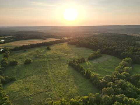 121 Coonhunters Rd, Golconda, IL 62938