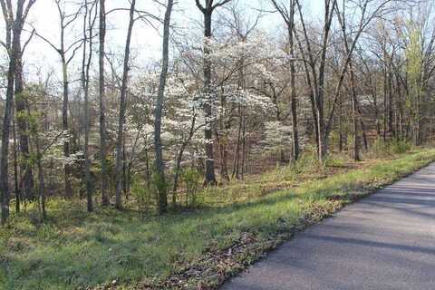 Lot #1 Forest View Court, Steelville, MO 65565