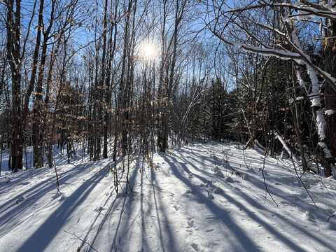 00 Stone Rd, Pitcairn, NY 13648