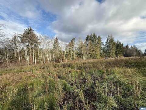 9999 Bravo Rd. Lot 2, Port Angeles, WA 98362