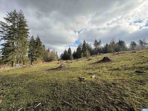 9999 Bravo Rd. Lot 3, Port Angeles, WA 98362