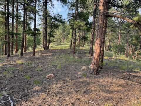 302 Oak Rd, Silver Cliff, CO 81252