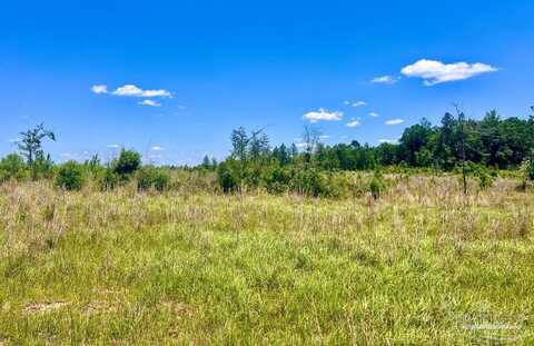 Lot 13-c Cotton Lake Rd, Molino, FL 32577