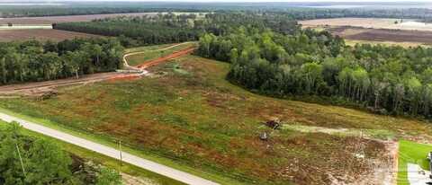 Lot 3 Ard Field Rd, Jay, FL 32565