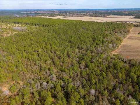 000 N Bob Brooks Rd, Baker, FL 32531