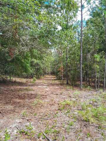 Parcel B-2 Wildlife Rd, Harold, FL 32564