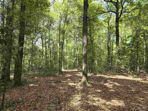 1131 Wolf Log Rd, Flomaton, AL 36441