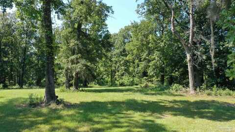 Lot 21 Judge Greene Pl, Greensboro, AL 36744