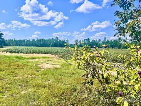 Lot 8 Sid Hayes Rd, Jay, FL 32565