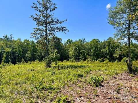 Lot 2-c Cotton Lake Rd, Molino, FL 32577