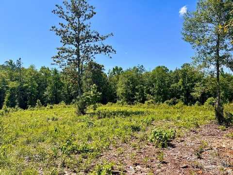 Lot 2-c Cotton Lake Rd, Molino, FL 32577