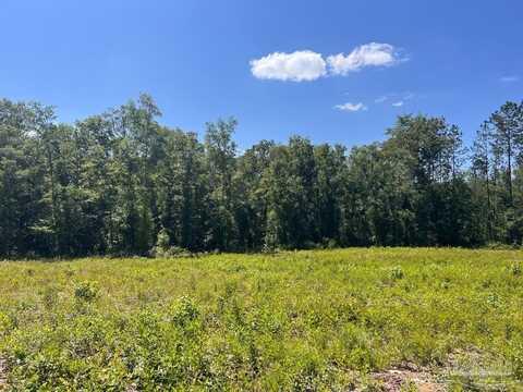 Lot 14-c Hwy 29, Molino, FL 32577