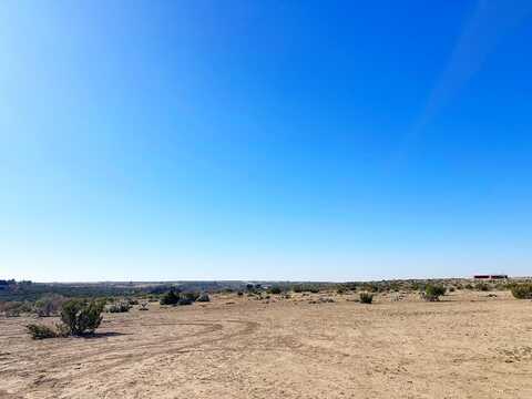 Los Alamitos Trail, Big Spring, TX 79720