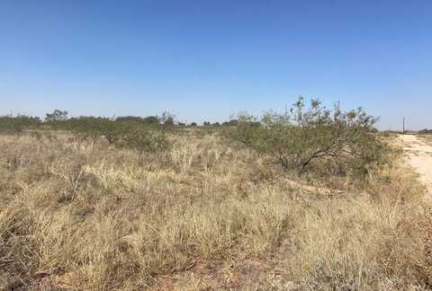 Lot 1e County Rd 149, Midland, TX 79709