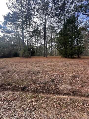 0 County Road 103, Brundidge, AL 36010