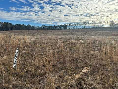 0 County Road 105, Jack, AL 36346