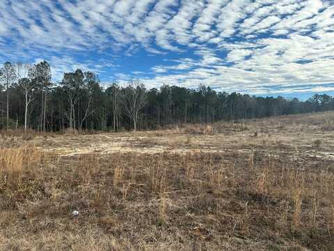 00 County Road 105, Jack, AL 36346