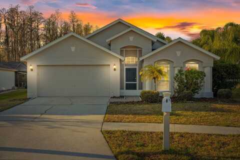 1525 BAYTHORN DRIVE, WESLEY CHAPEL, FL 33543