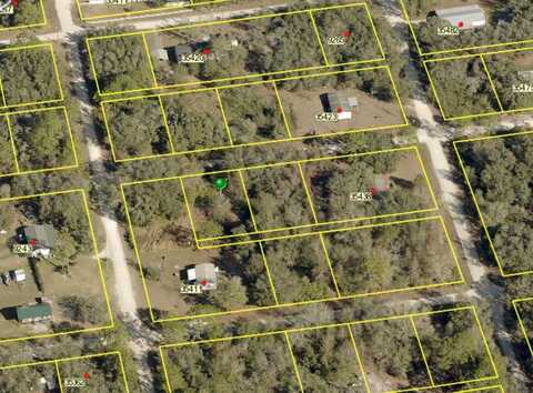 35406 HOLMES STREET, WEBSTER, FL 33597