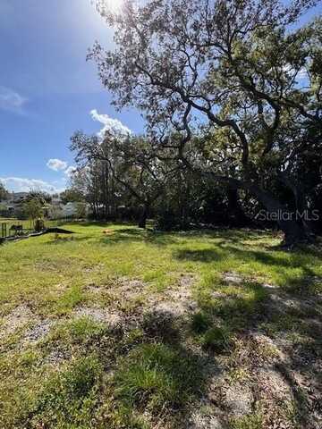 3008 W CHAPIN AVENUE, TAMPA, FL 33611