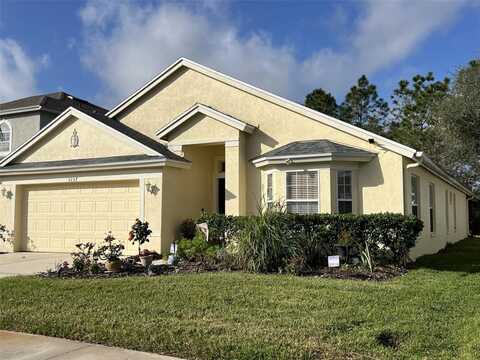 3207 SUNWATCH DRIVE, WESLEY CHAPEL, FL 33544