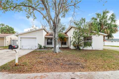 10106 ROYAL ACRES COURT, TAMPA, FL 33615