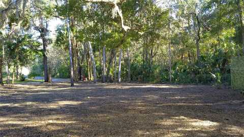 4367 S CONWELL POINT, HOMOSASSA, FL 34448